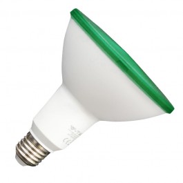LED крушка - 17W PAR38 E27 IP65 Зелена